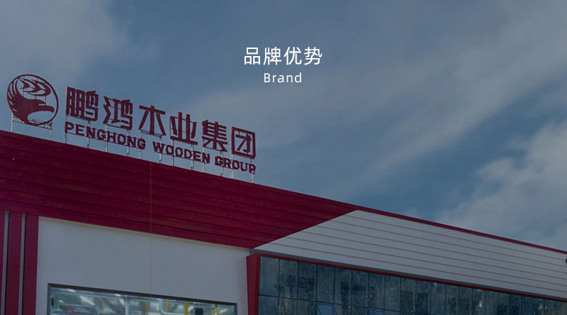 板材品牌、全屋定制品牌、生態(tài)板十大品牌
